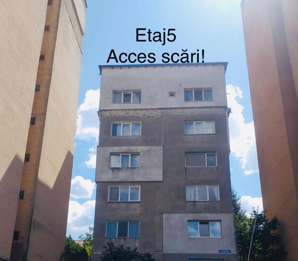 Zizi'S House Garii Apartment Brasov Luaran gambar